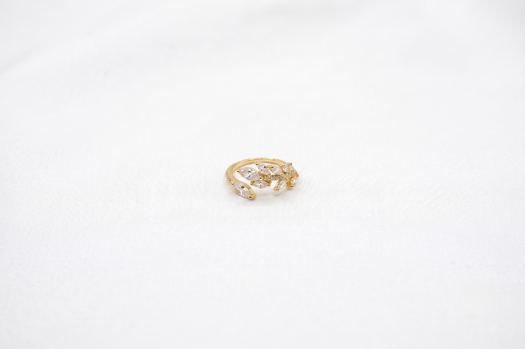 Anillo Hojas de Luz