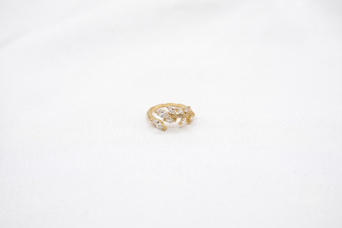 Anillo Hojas de Luz