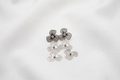 Aretes Lluvia de Pétalos